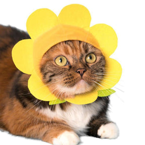 Cat Cap Flower Hat Cat, Cat Hat, Costume, Flower, Flowers