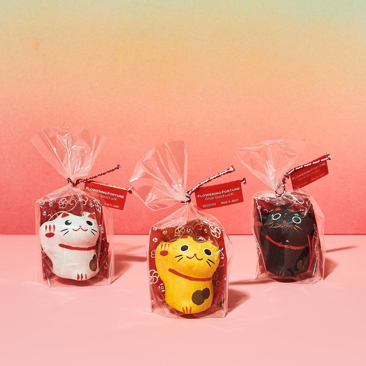 Flowering Fortunes Grow Kit Cat Novelty - Earth Day - Feline