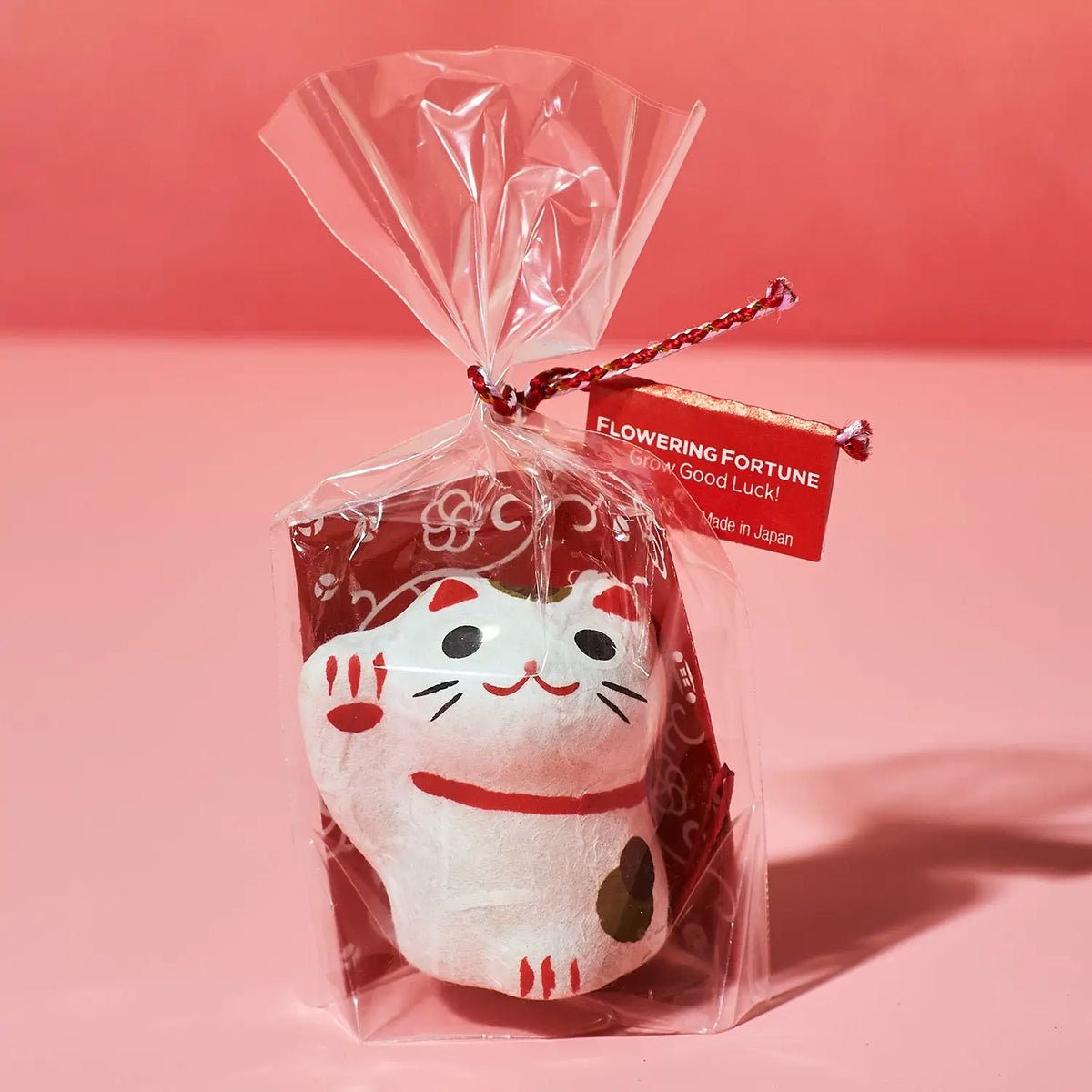 Flowering Fortunes Grow Kit Cat Novelty - Earth Day - Feline