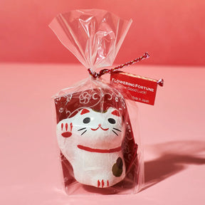 Flowering Fortunes Grow Kit Cat Novelty - Earth Day - Feline
