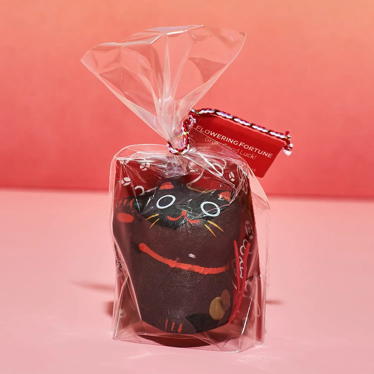Flowering Fortunes Grow Kit Cat Novelty - Earth Day - Feline