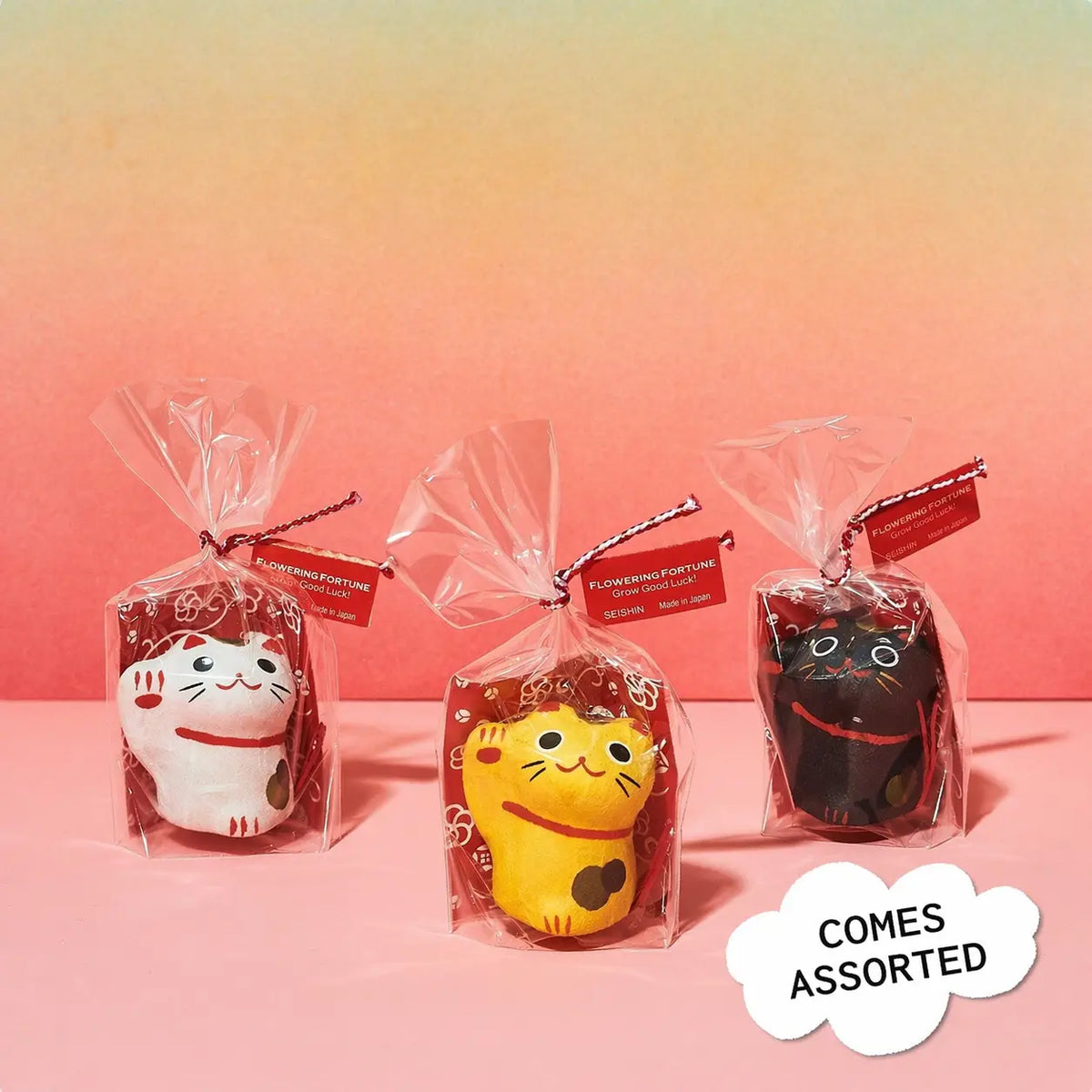 Flowering Fortunes Grow Kit | Good Luck from Japan