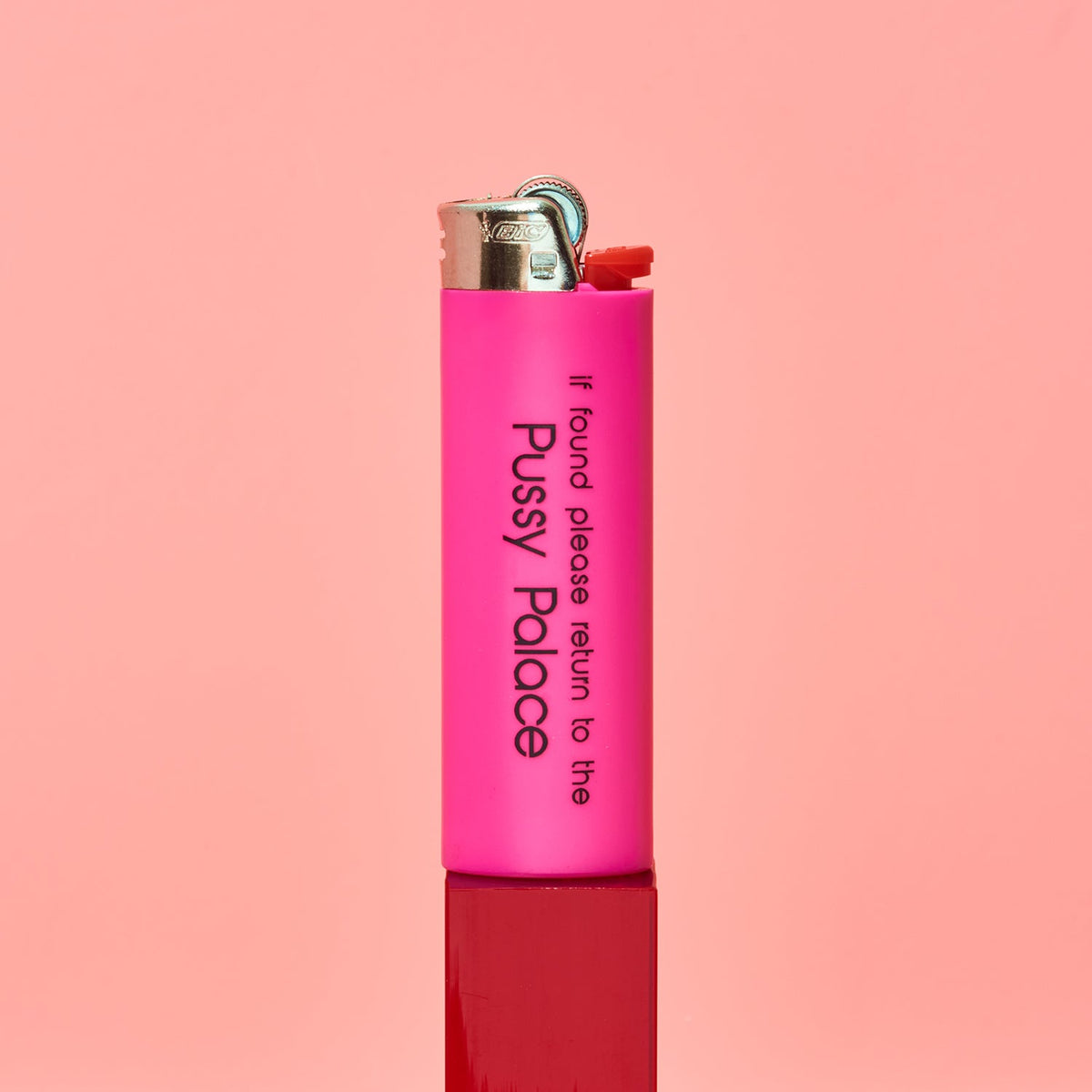 Friends Nyc Bic Lighter - Pussy Palace Printed | Brooklyn Ny