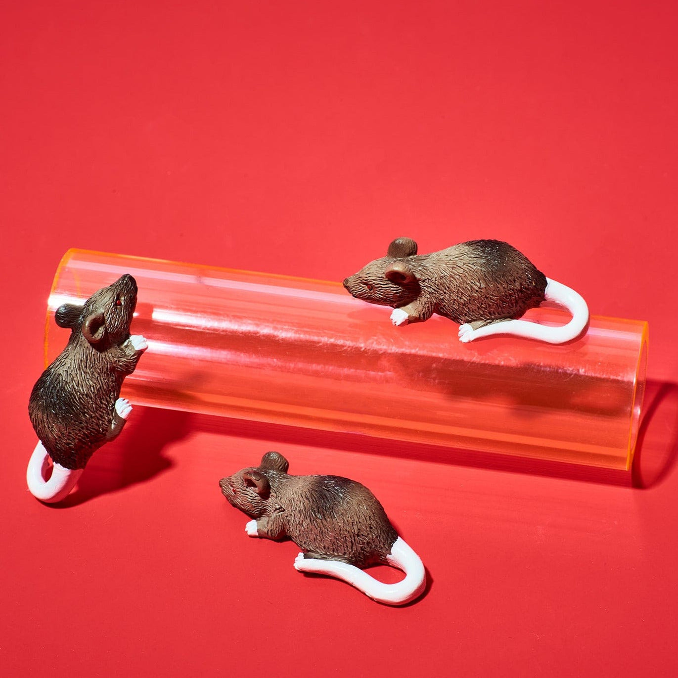 Friends NYC Rat Magnet | Friends NYC Souvenir Shop