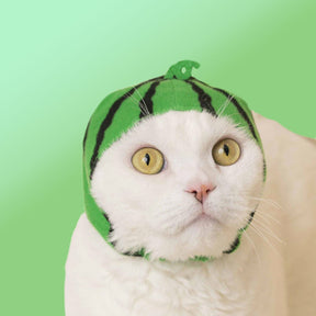 Cat Cap Fruit Hat Cat - Cap - Dad Gifts - for Mom - Hat