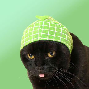 Cat Cap Fruit Hat Cat - Cap - Dad Gifts - for Mom - Hat