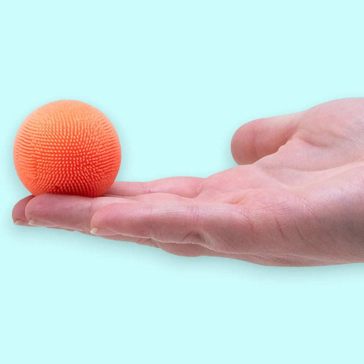 Fuzz Ball Teenie Needoh - Multi Pack Needoh Stress (set