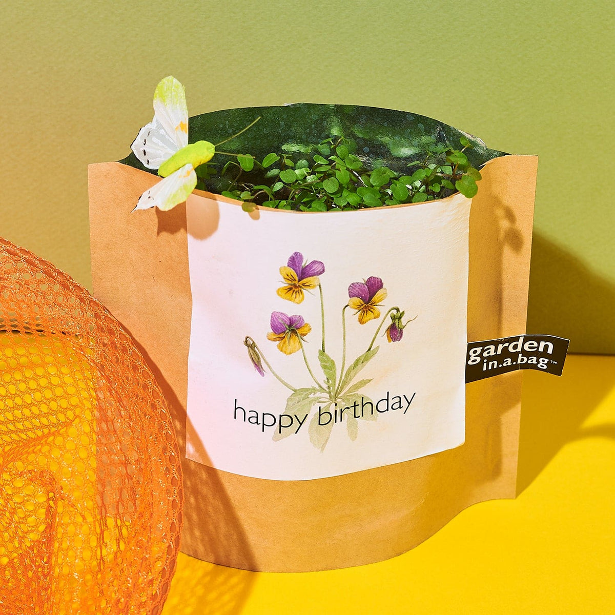 Garden in a Bag Ps Happy Bday Groupbycolor