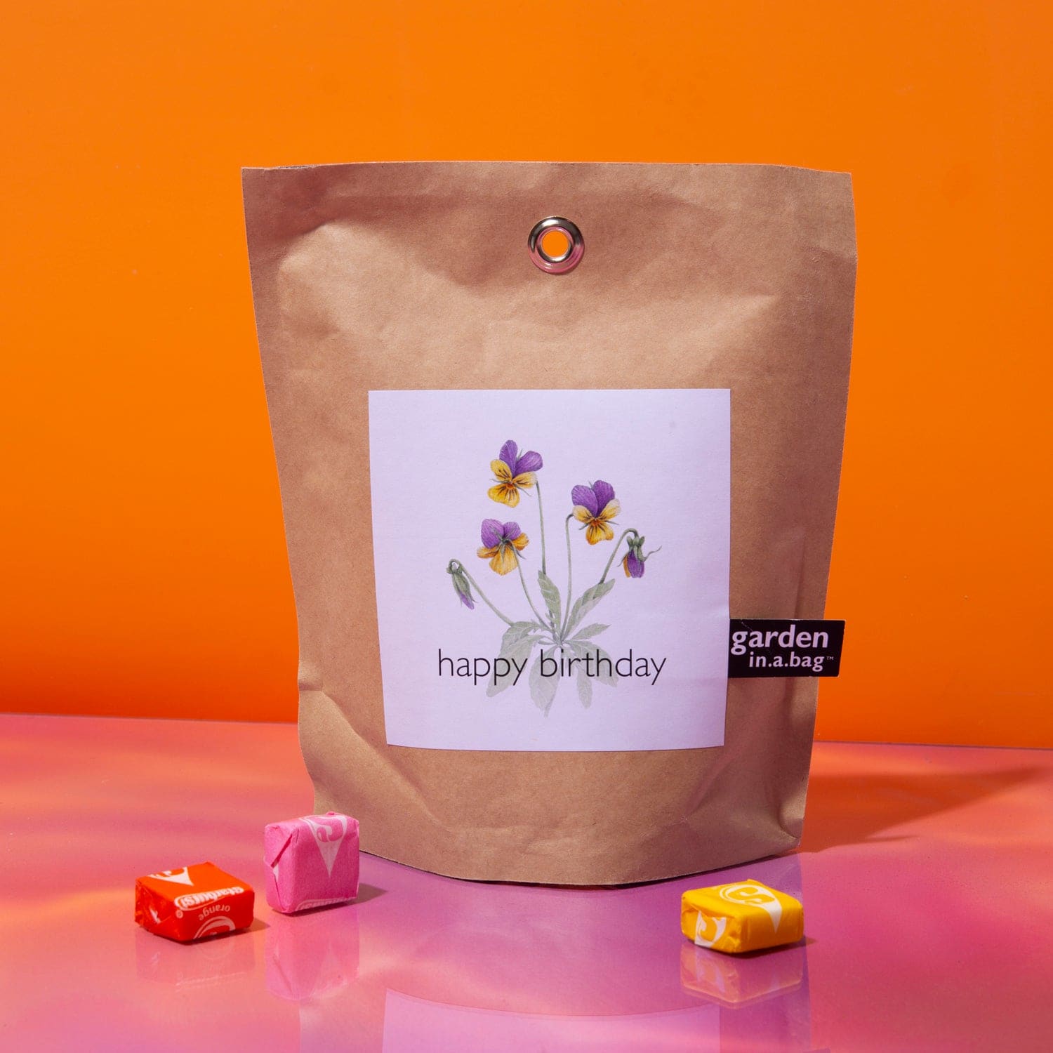 Garden in a Bag - Happy Birthday Flower - Garden Gift - 