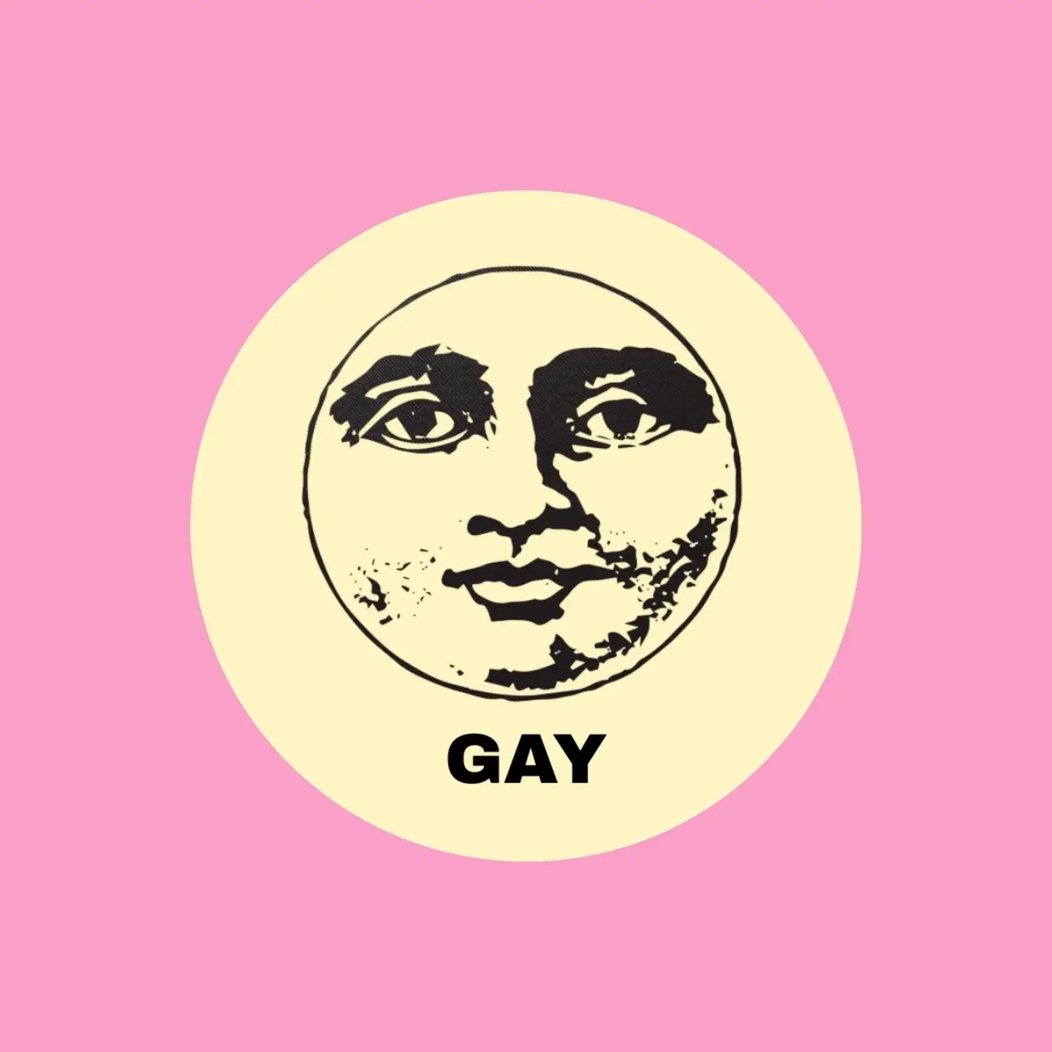 Gay Moon Vinyl Sticker 2.5’’ - Lgbtq+ Pride | Friends Nyc