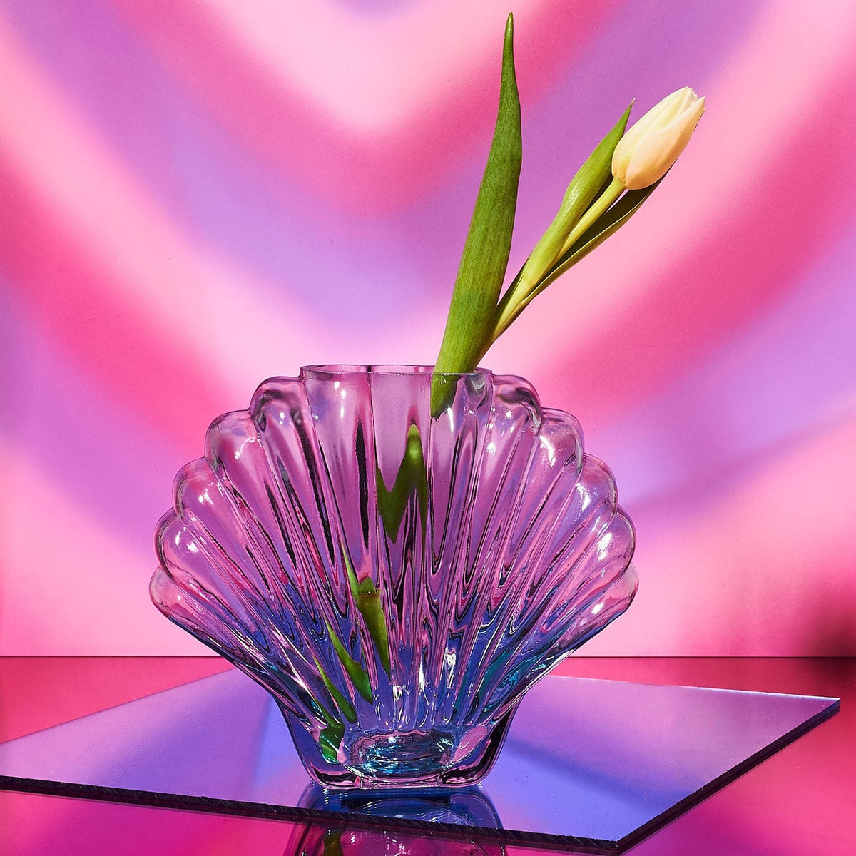 Glass Shell Vase Back To School - Dorm Decor - Femme -