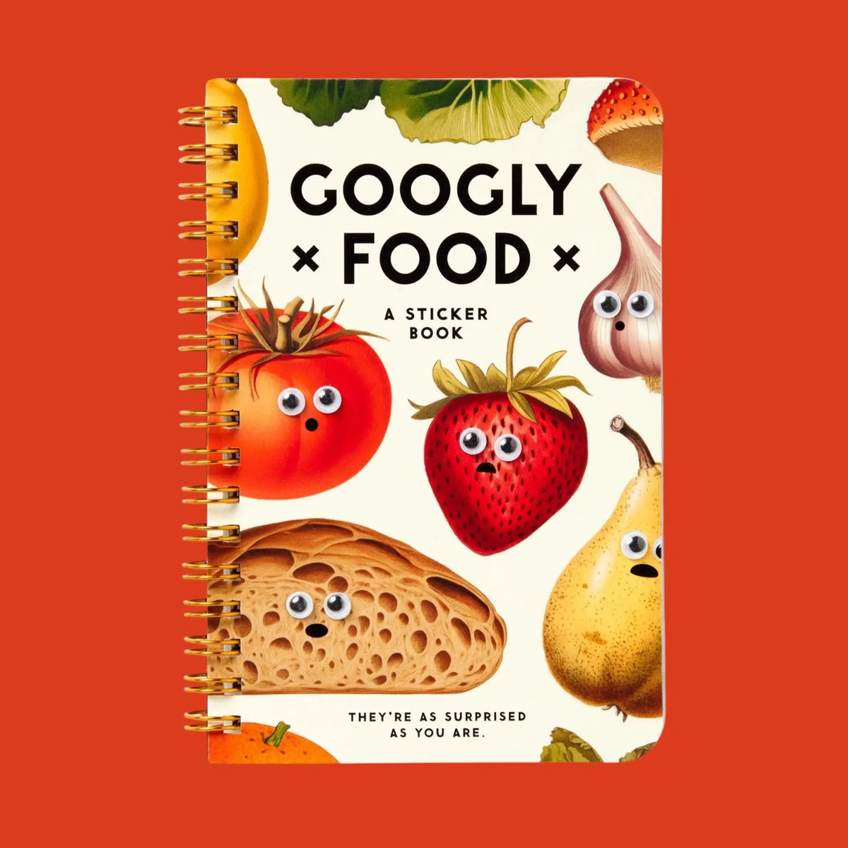 Googly Food Sticker Book | Friends Nyc Brooklyn Ny