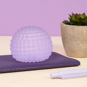 Gump Surface - Assorted – Sensory Fidget Toy | Friends Nyc