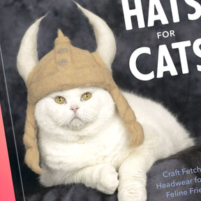 Cat-hair Hats For Cats 1022 - Bookbuild22 - Q422