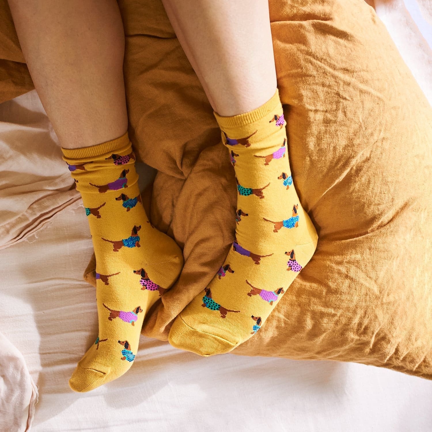 Haute Dog - Women's Novelty Socks