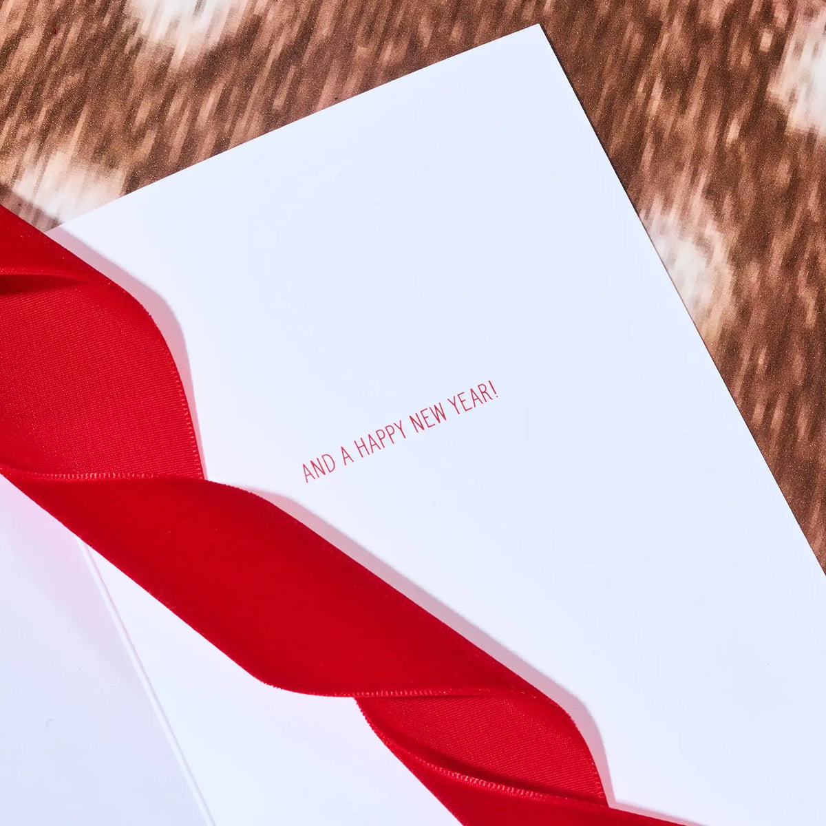 Hedgehog in Santa Hat Holiday Card Christmas | Friends Nyc