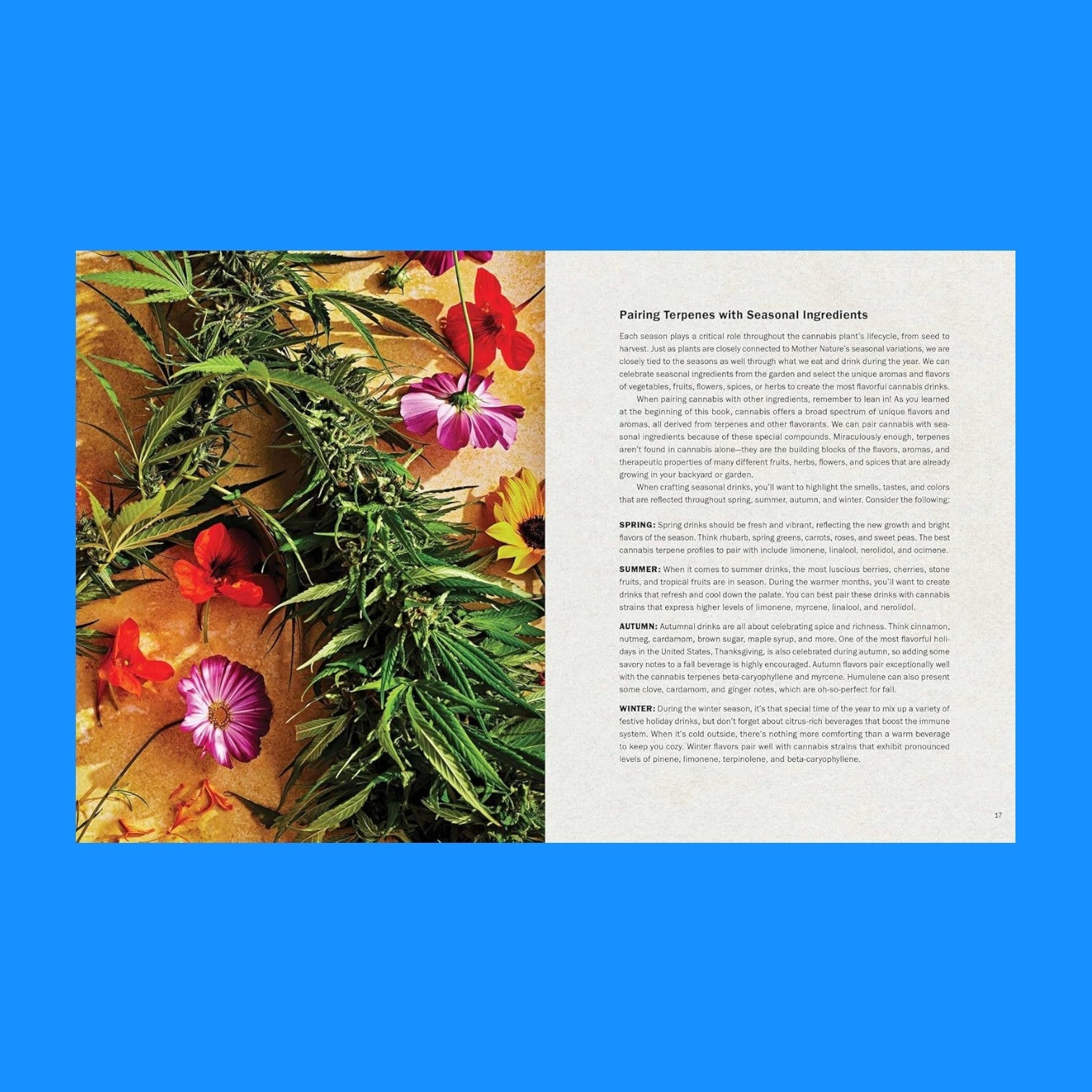 High Times: Cannabis Cocktails Recipe Book