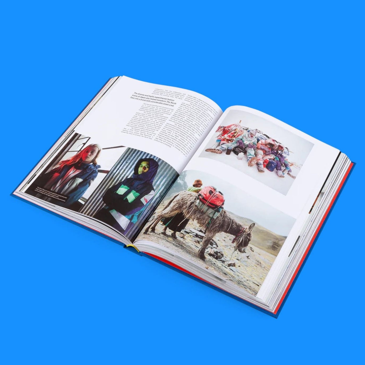 The Incomplete Art Book Coffee Table Books Culture Fashion