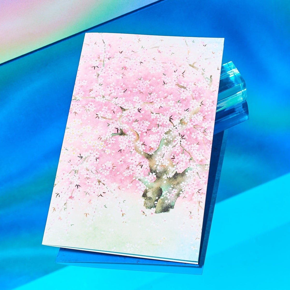Japanese Greeting Card - Pink Cherry Blossoms Exclusive -