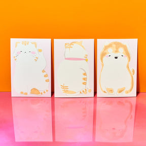 Japanese Postcard Set Of 3 - Cat Front Exclusive - Gifts For