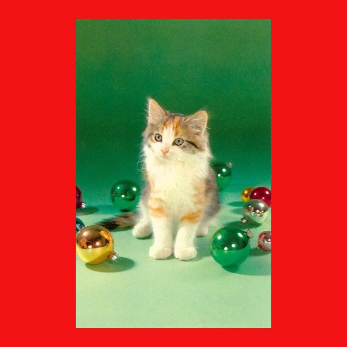 Kitten with Christmas Bulbs Holiday Postcard Green