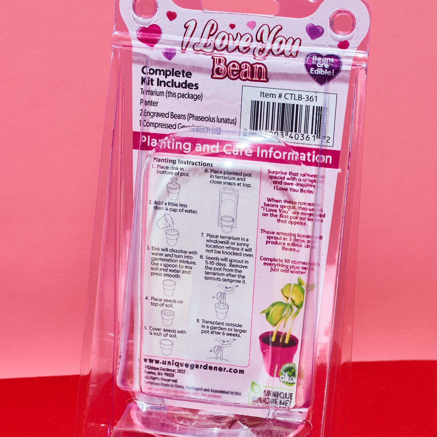 I Love you Bean Grow Kit - Message | Friends Nyc Brooklyn Ny