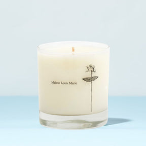 Maison Louis Marie Candle - Antidris Lavender Antidris