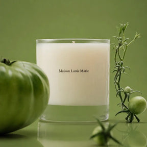 Maison Louis Marie Candle - Liane De Tomate Soy Blend Mcm
