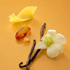 Maison Louis Marie No. 15 Candle - Vanille Infinie Soy