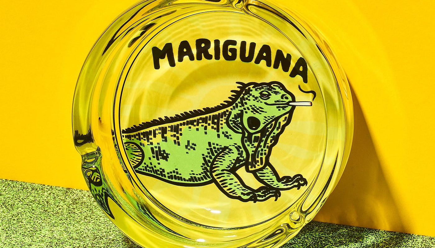 Mariguana Glass Ashtray Ashtray - Boxed - For Dad Gifts