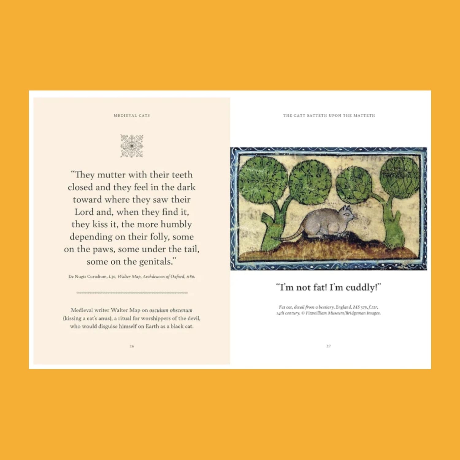 Medieval Cats Art Book Arts and Crafts Cats Coffee Table