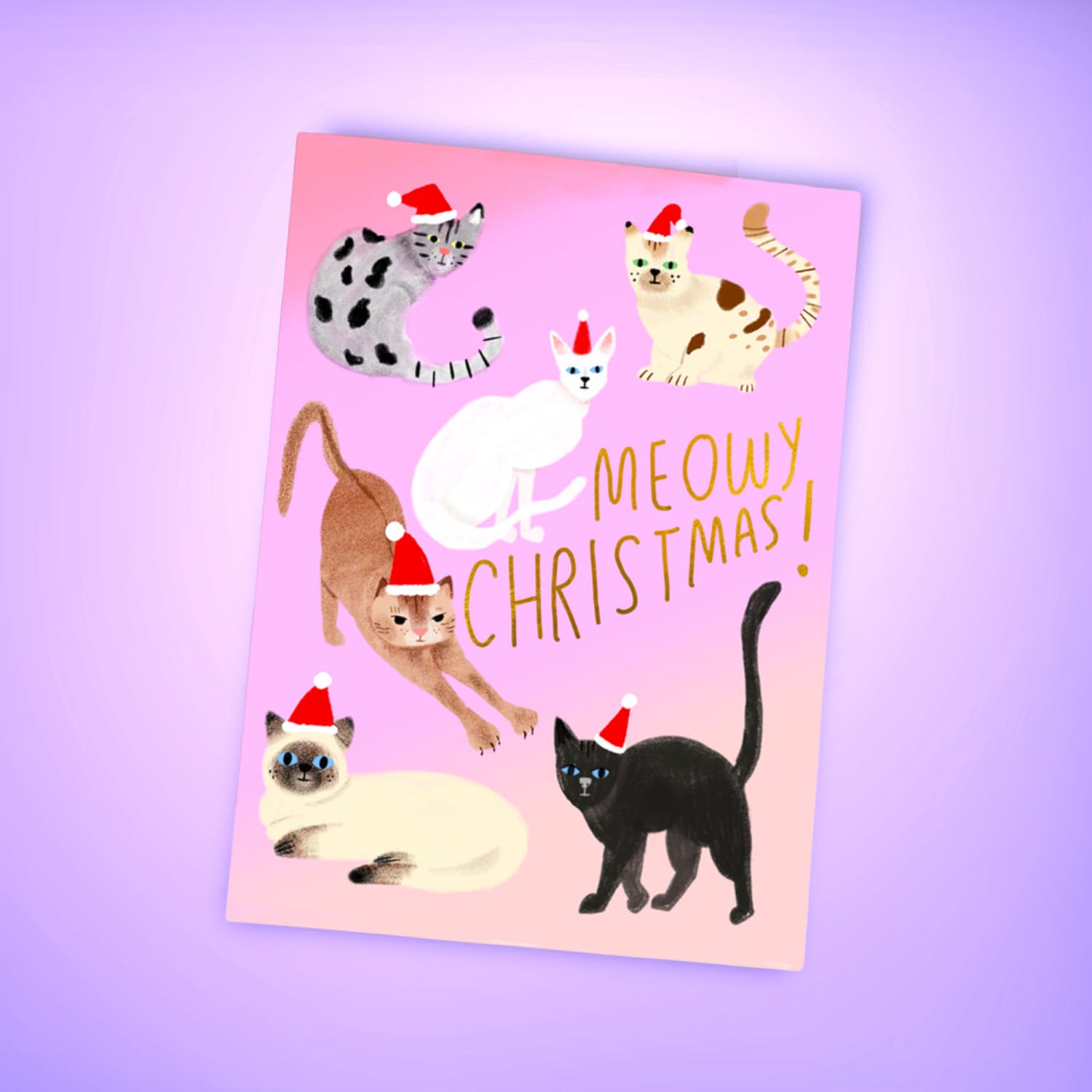 Feline Xmas 854 Holidaycards22