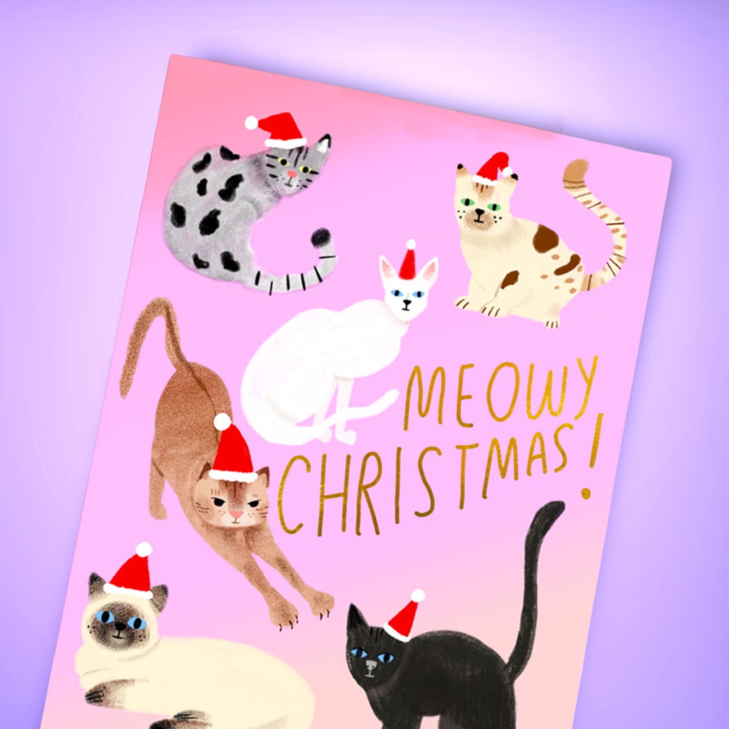 Feline Xmas 854 Holidaycards22