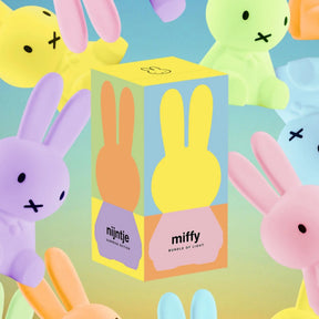 Miffy Colourful Bundle of Light Blind Box | Night | Friends
