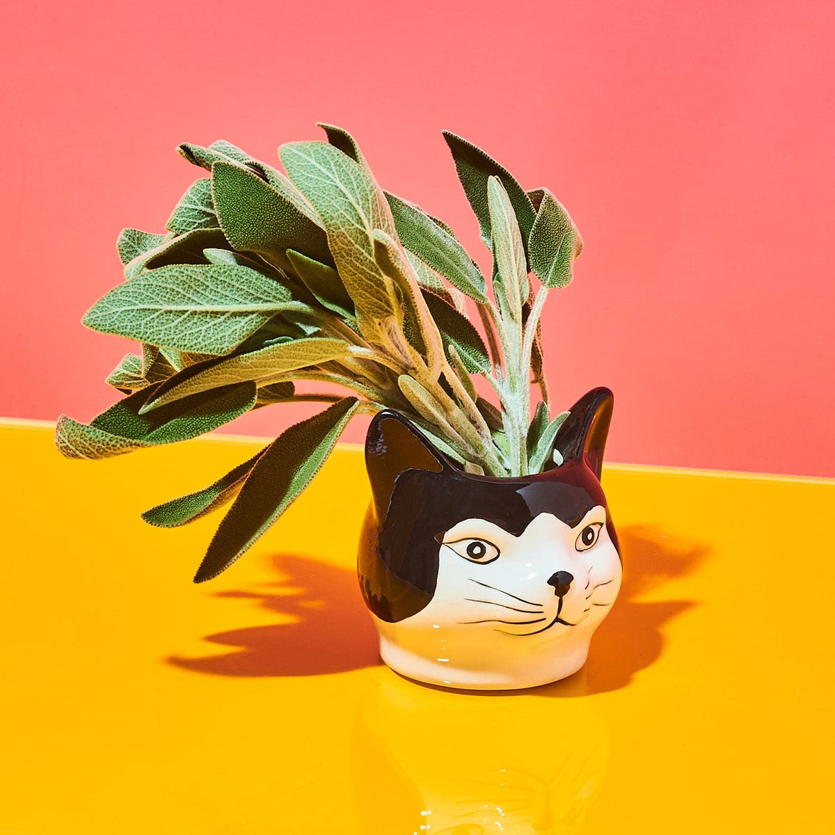 Mini Cat Face Planter Animal Novelty - Back To School - Cat