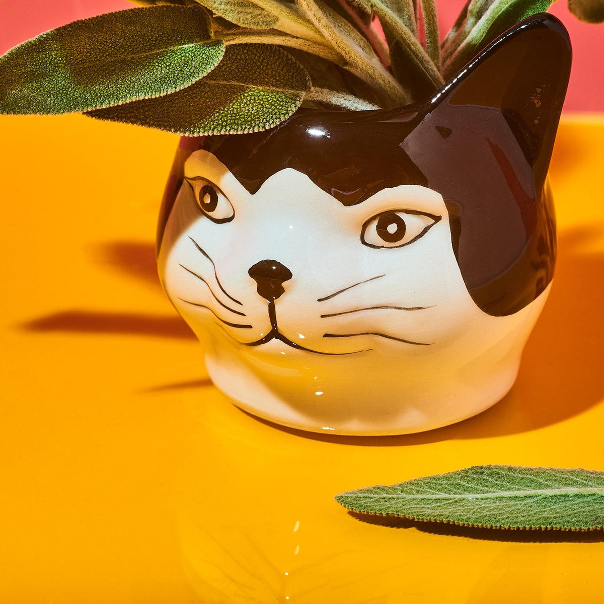 Mini Cat Face Planter Animal Novelty - Back To School - Cat