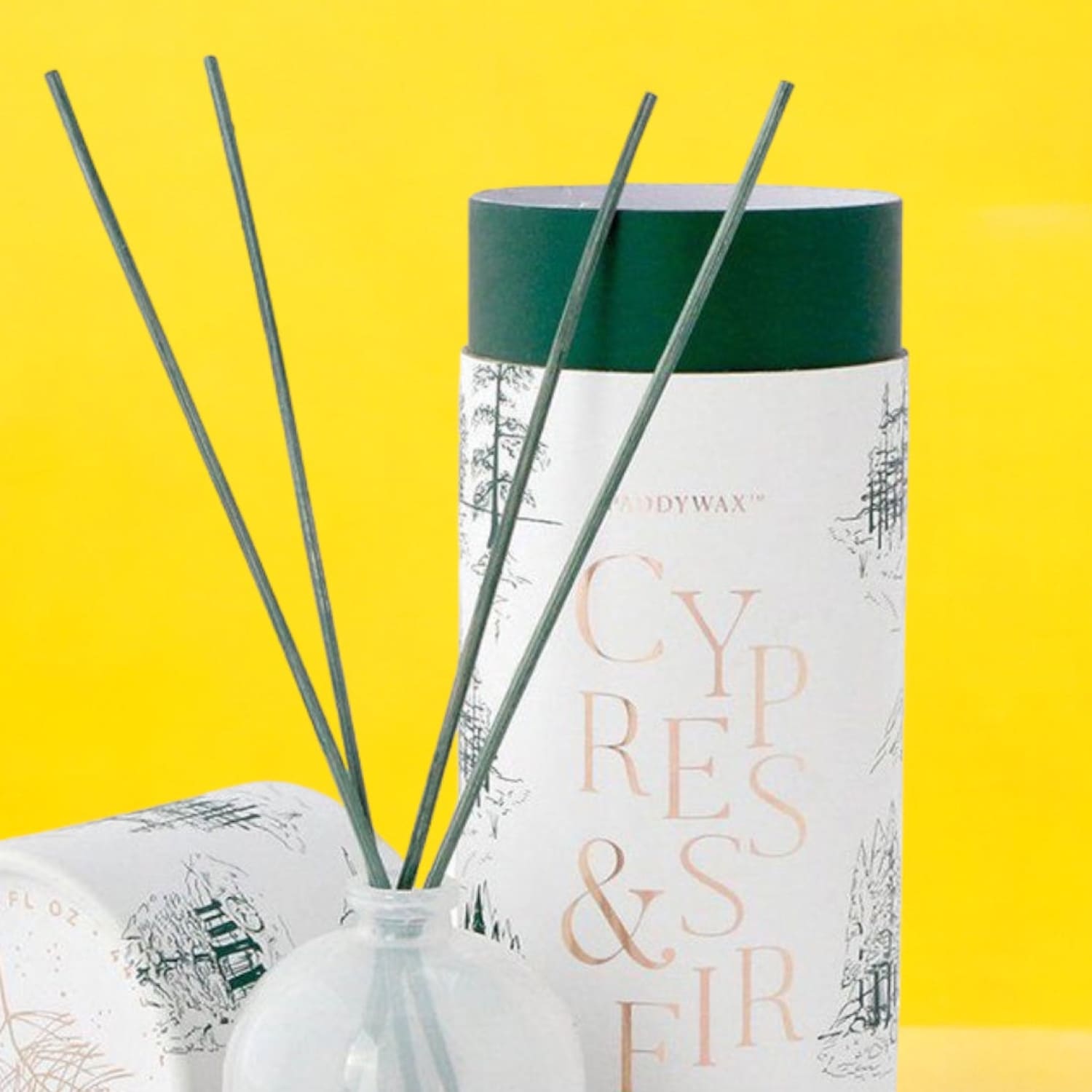 Mini Reed Diffuser - Cypress + Fir Aroma Diffuser - Cypress