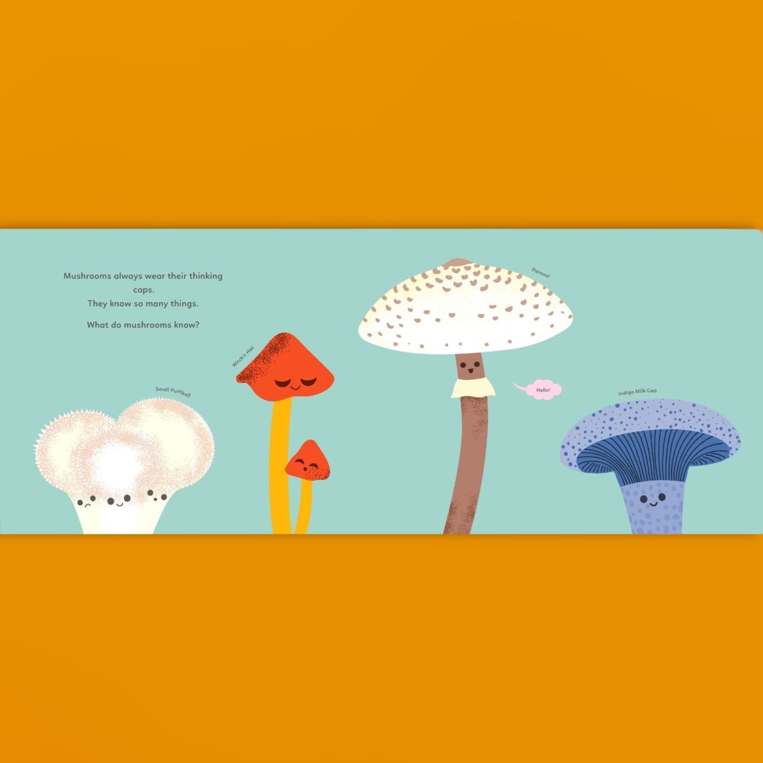 Mushrooms Know Board Book - for Baby/kids Gifts - Kids