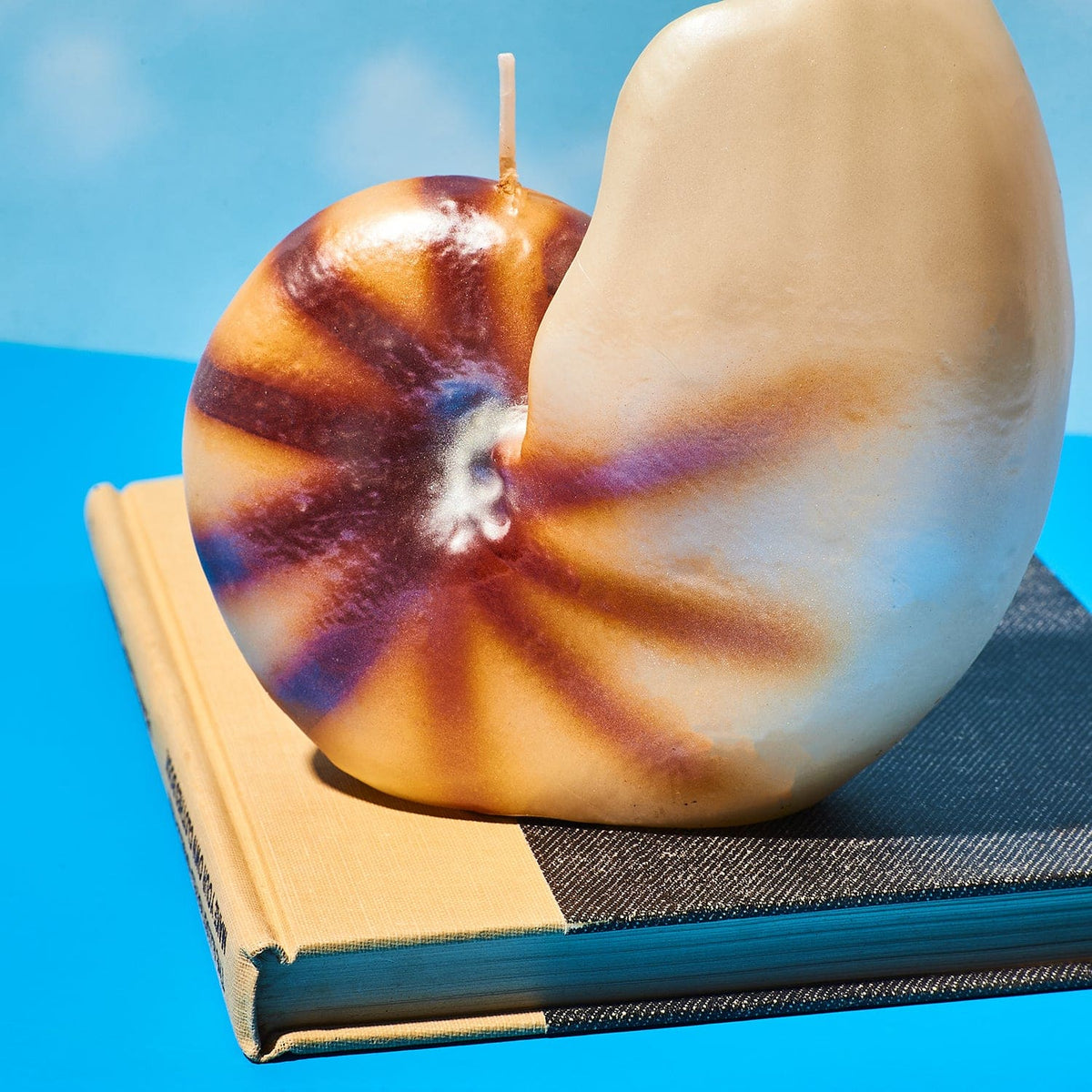 Nautilus Shell Candle Candle - Hand Made - Maximalist Gifts