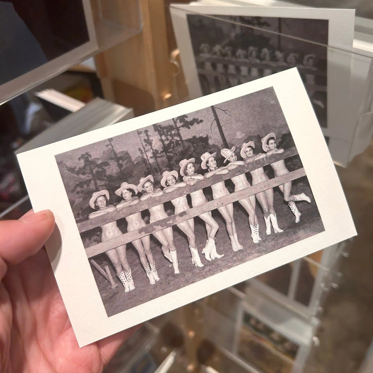 Nude Cowgirls by Fence Postcard Fip | Friends Nyc Brooklyn