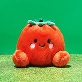 Palm Pals Plush Toy - Boyd Tomato Fake Food - for Baby/kids