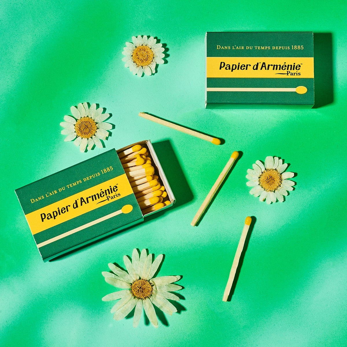 Papier D’armenie Matches Bffpair - fire - French - Gift 