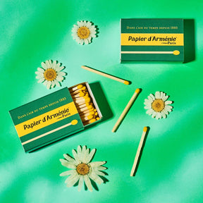 Papier D’armenie Matches Bffpair - fire - French - Gift 