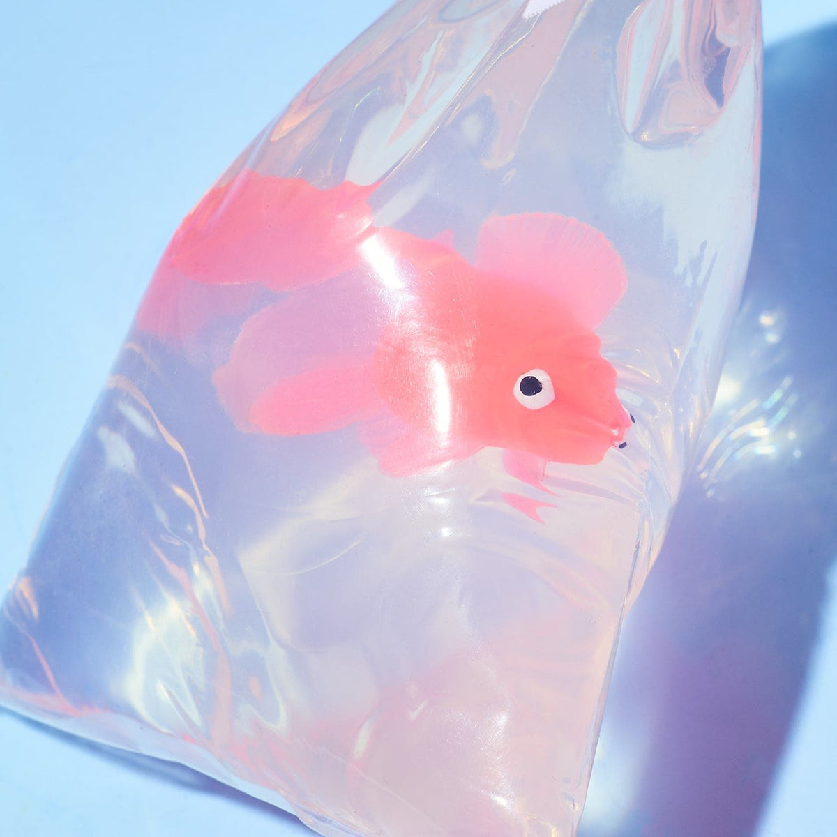 My Pet Fish Soap Web1023 - Webq423 - Xstephoct23