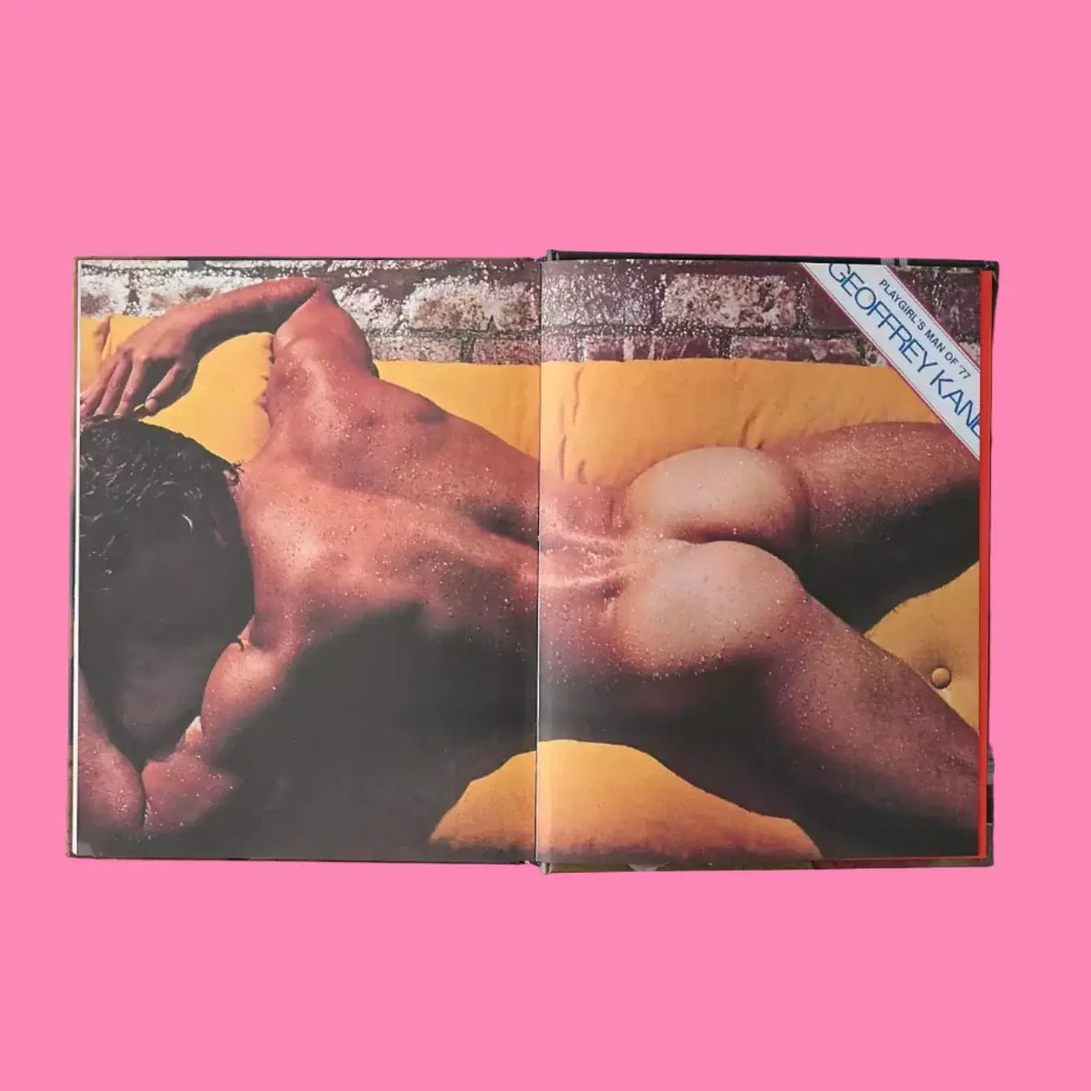 Playgirl: the Official History of a Cult Magazine | Friends