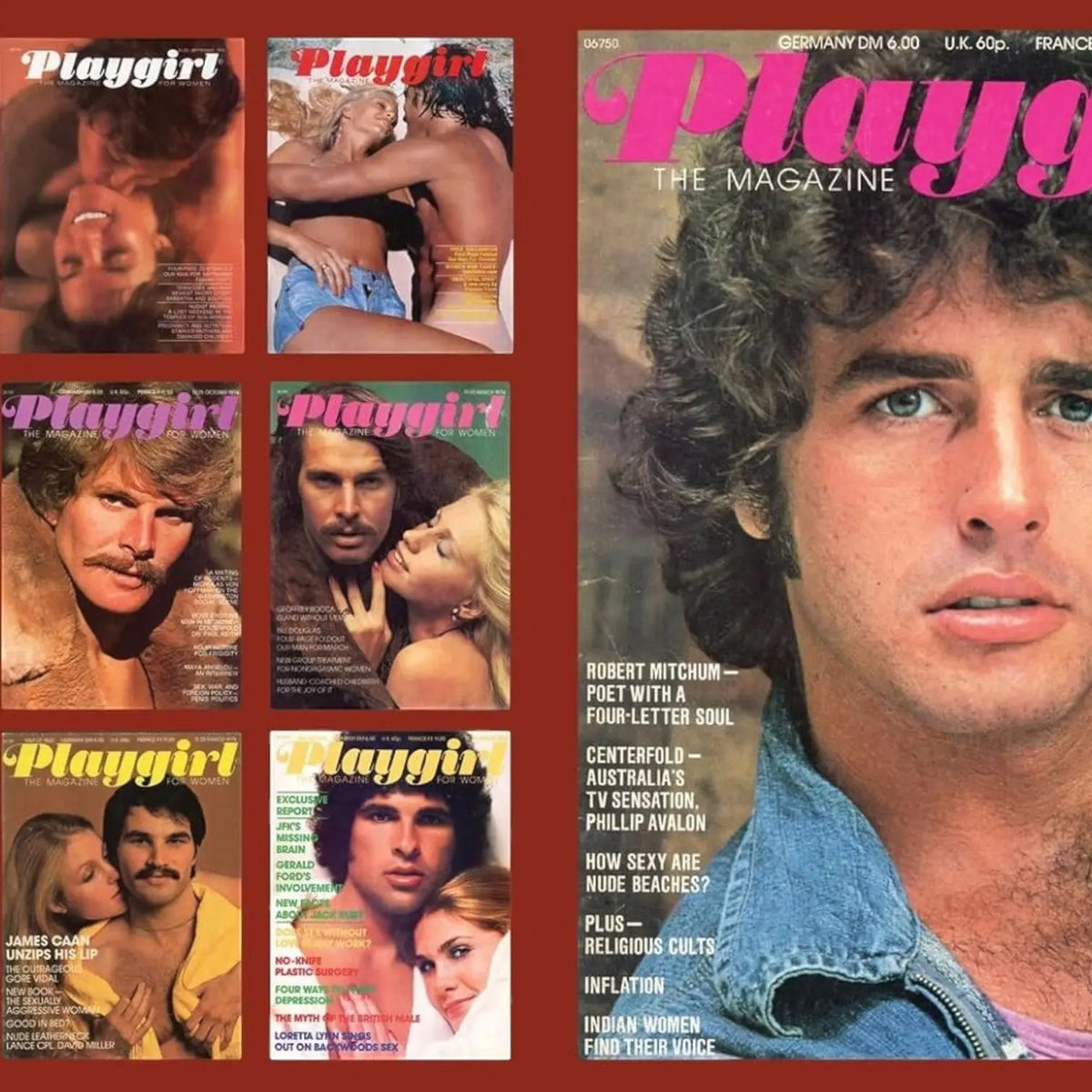 Playgirl: the Official History of a Cult Magazine Art Book