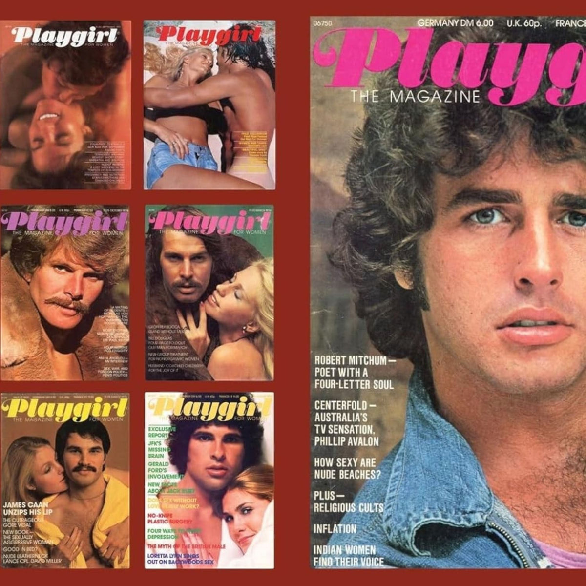 Playgirl: the Official History of a Cult Magazine Art Book