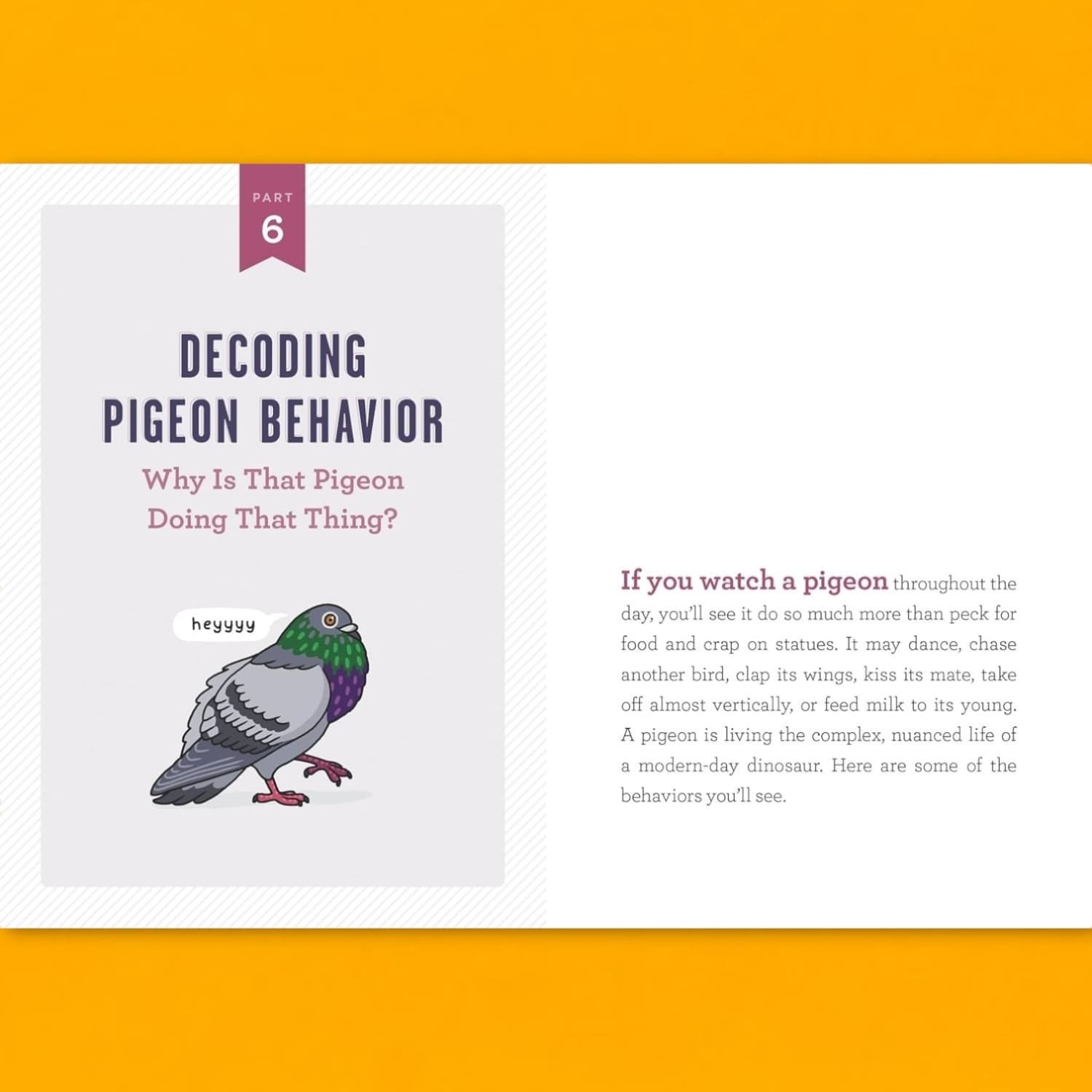 A Pocket Guide to Pigeon Watching Web1024 - Xpsd1024a