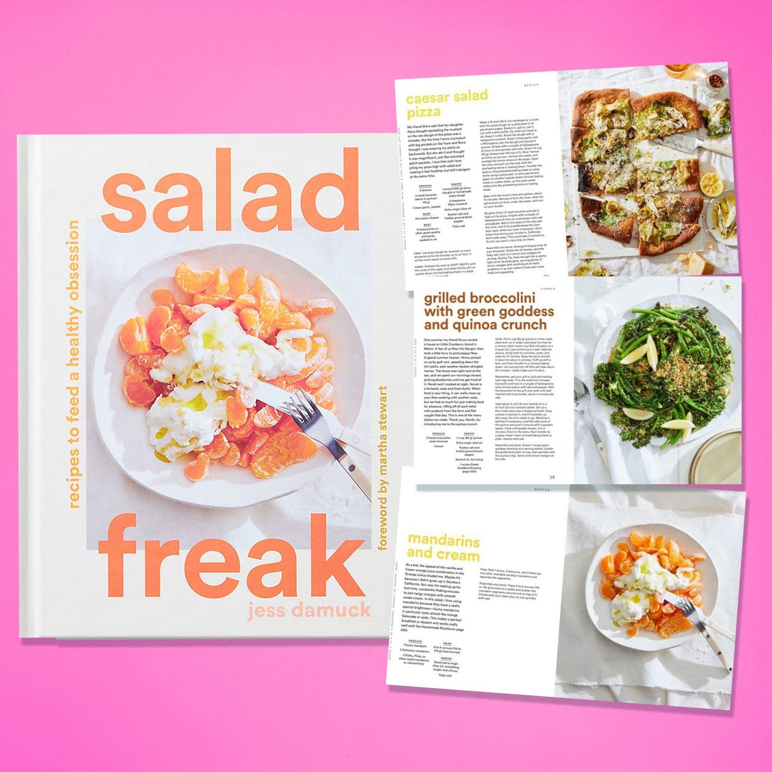 Salad Freak: Recipes to Feed a Healthy Obsession best Seller