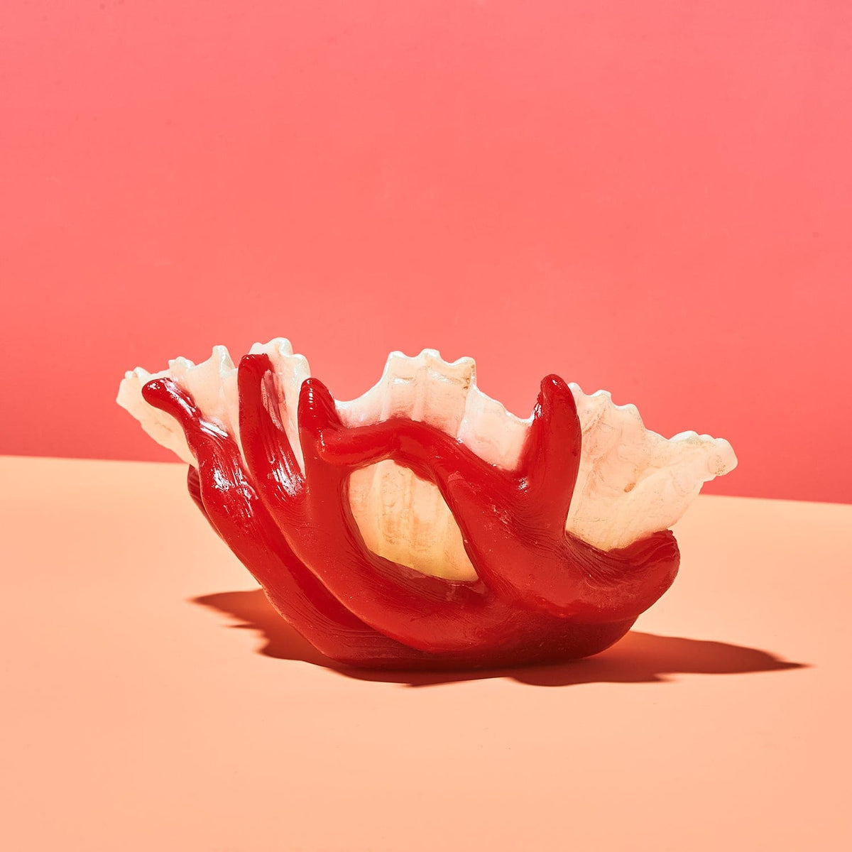 Shell With Coral Candle Candle - Novelty - Unique